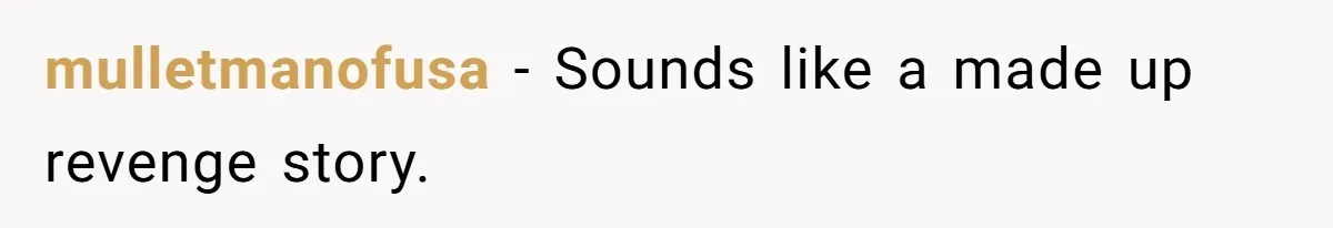 He Left Her to Become a Dad, Now He Wants His Child-Free Life (and Wife) Back mulletmanofusa − Sounds like a made up revenge story.