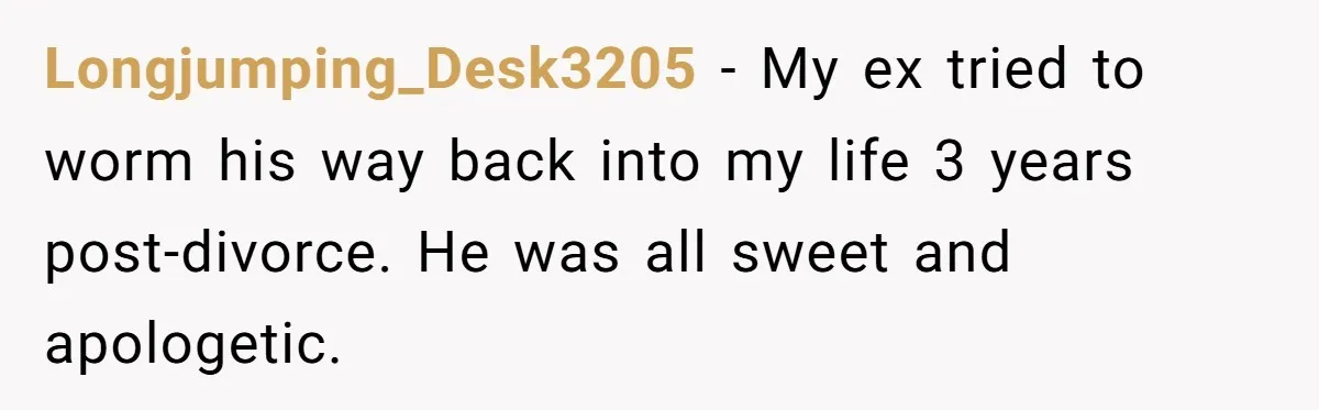 He Left Her to Become a Dad, Now He Wants His Child-Free Life (and Wife) Back Longjumping_Desk3205 − My ex tried to worm his way back into my life 3 years post-divorce. He was all sweet and apologetic.