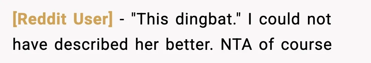 [Reddit User] − "This dingbat." I could not have described her better. NTA of course