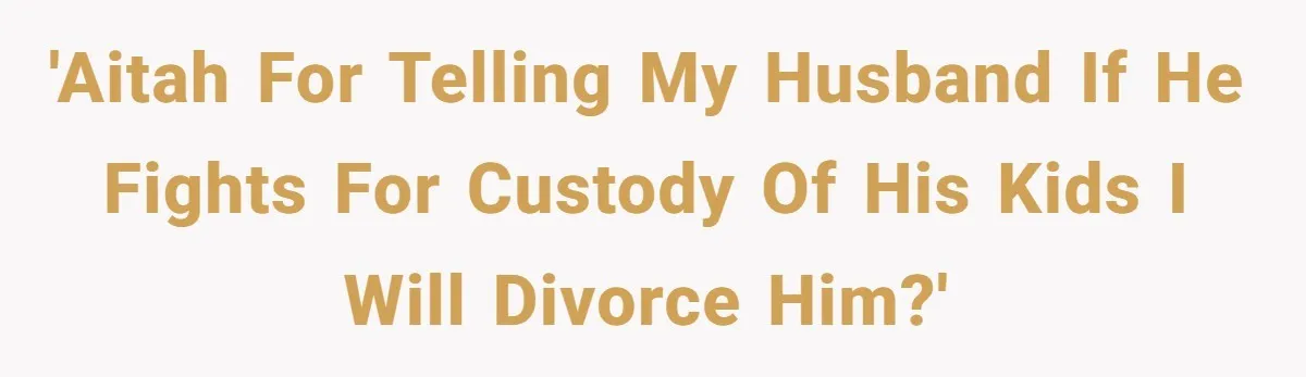 Wife Threatens Divorce When Husband Demands She Raise Kids He Hid From Her 'AITAH for telling my husband if he fights for custody of his kids I will divorce him?'
