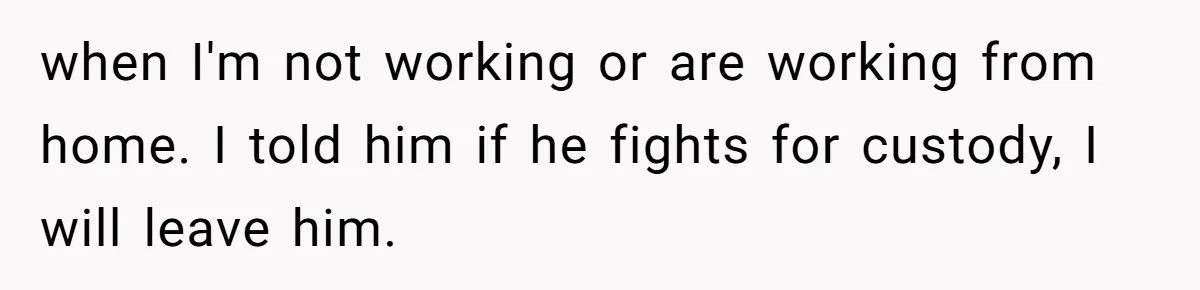 Wife Threatens Divorce When Husband Demands She Raise Kids He Hid From Her when I'm not working or are working from home. I told him if he fights for custody, I will leave him.
