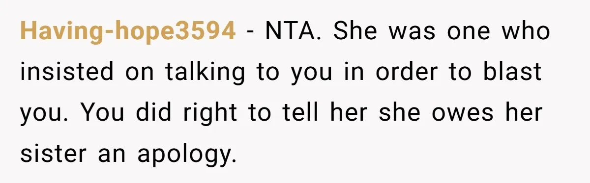 Aunt Claps As Pregnant Niece Gets Booed At Sister’s Wedding, Then Tells Her To Grow Up Having-hope3594 − NTA. She was one who insisted on talking to you in order to blast you. You did right to tell her she owes her sister an apology.