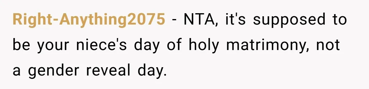 Aunt Claps As Pregnant Niece Gets Booed At Sister’s Wedding, Then Tells Her To Grow Up Right-Anything2075 − NTA, it's supposed to be your niece's day of holy matrimony, not a gender reveal day.