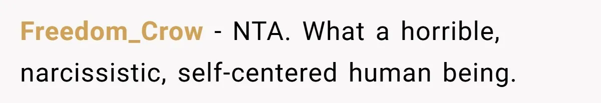 Aunt Claps As Pregnant Niece Gets Booed At Sister’s Wedding, Then Tells Her To Grow Up Freedom_Crow − NTA. What a horrible, narcissistic, self-centered human being.