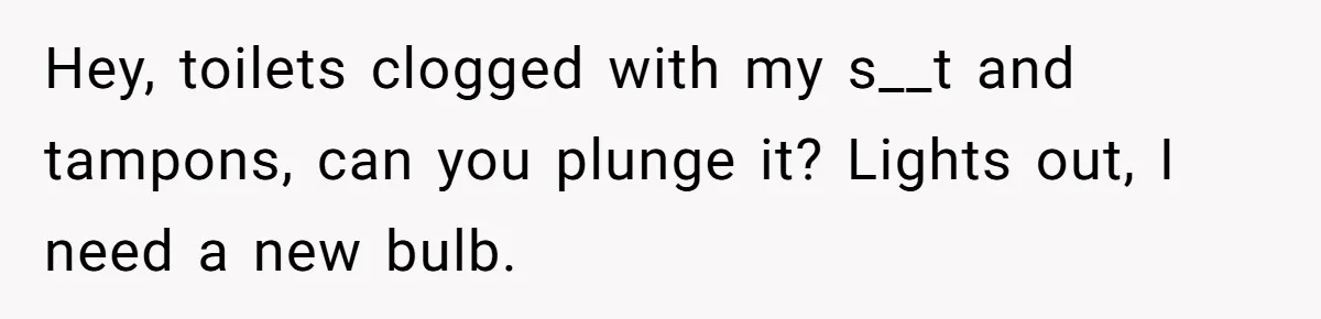 Hey, toilets clogged with my s__t and tampons, can you plunge it? Lights out, I need a new bulb.