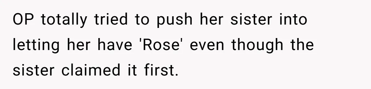 Family Sides With Sister Who Stole OP's Baby Name, Now They Want OP To Change Hers Twice OP totally tried to push her sister into letting her have 'Rose' even though the sister claimed it first.