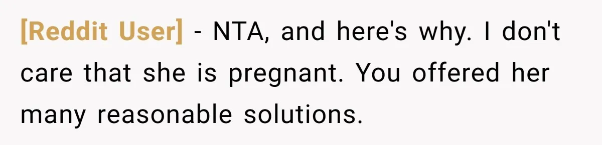 [Reddit User] − NTA, and here's why. I don't care that she is pregnant. You offered her many reasonable solutions.