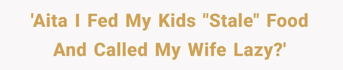 'AITA I fed my kids "stale" food and called my wife lazy?'