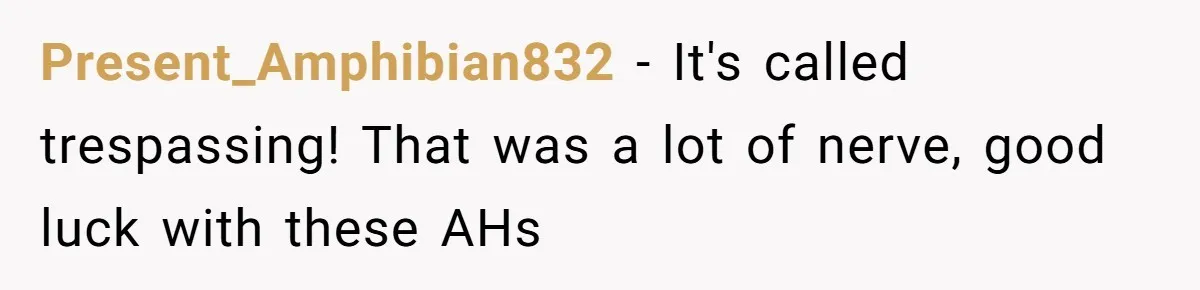 Homeowner Discovers Neighbors Parked Three Cars Inside Unfinished Garage And Takes Action Immediately Present_Amphibian832 − It's called trespassing! That was a lot of nerve, good luck with these AHs