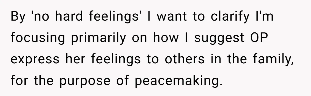 She Spent Weeks Crocheting a Blanket - Then Her Sister-in-Law Demanded She “Fix” It By 'no hard feelings' I want to clarify I'm focusing primarily on how I suggest OP express her feelings to others in the family, for the purpose of peacemaking.