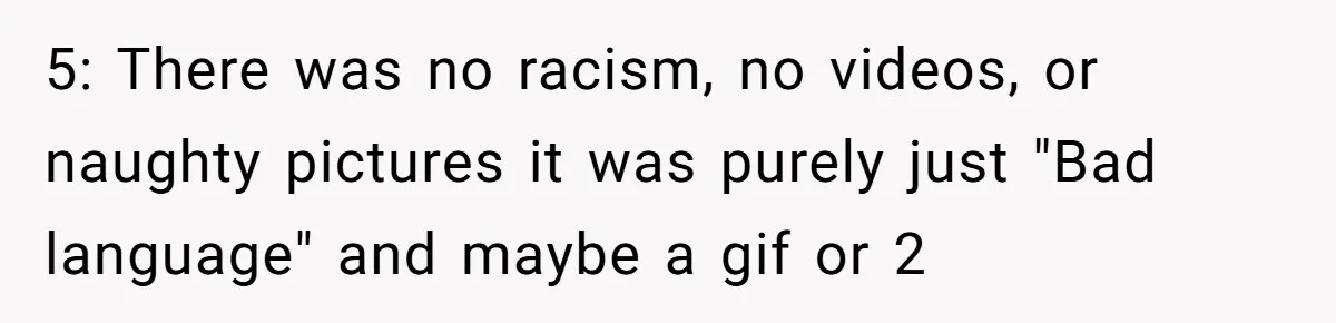 Nosy Older Woman Reads Stranger’s Private Texts On Train And Gets Brutal Four-Word Reality Check 5: There was no racism, no videos, or naughty pictures it was purely just "Bad language" and maybe a gif or 2