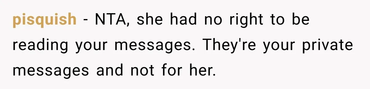 Nosy Older Woman Reads Stranger’s Private Texts On Train And Gets Brutal Four-Word Reality Check pisquish − NTA, she had no right to be reading your messages. They're your private messages and not for her.