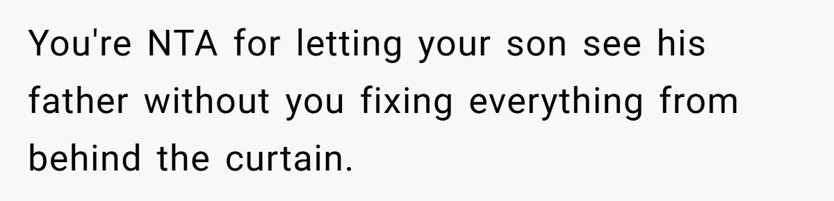 You're NTA for letting your son see his father without you fixing everything from behind the curtain.