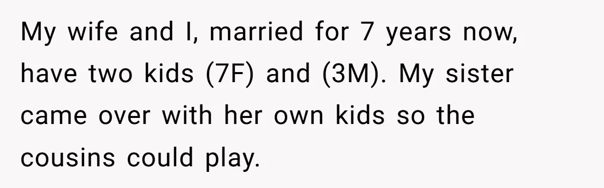He Returned to His Dying Ex-Wife After 10 Years - And Found a Peace He Didn’t Expect My wife and I, married for 7 years now, have two kids (7F) and (3M). My sister came over with her own kids so the cousins could play.