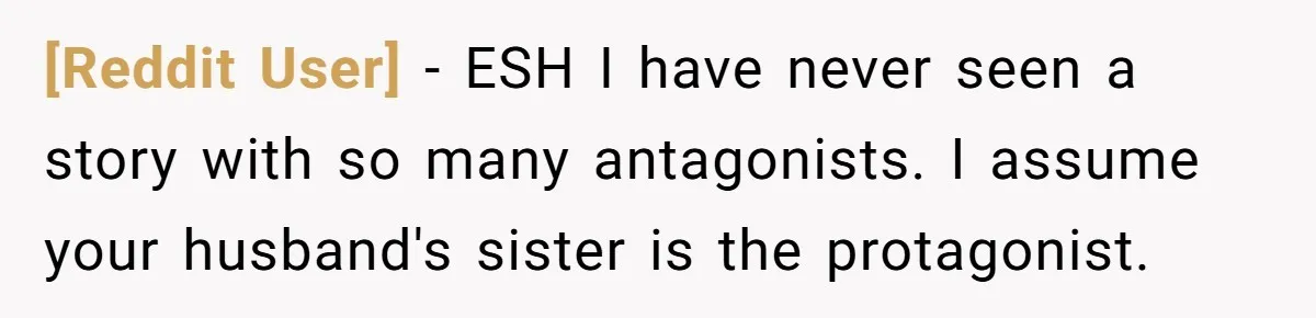 [Reddit User] − ESH I have never seen a story with so many antagonists. I assume your husband's sister is the protagonist.