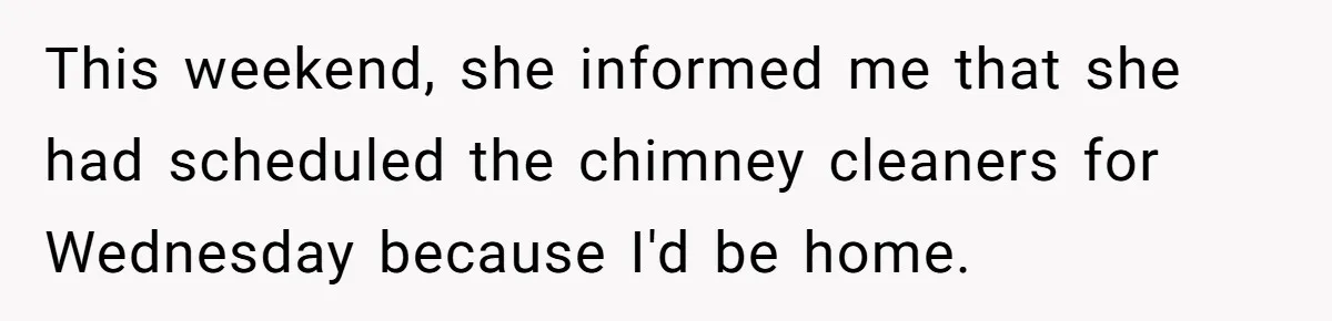His Wife Hijacked His Entire Staycation - and Now He’s One Snap Away from Exploding This weekend, she informed me that she had scheduled the chimney cleaners for Wednesday because I'd be home.