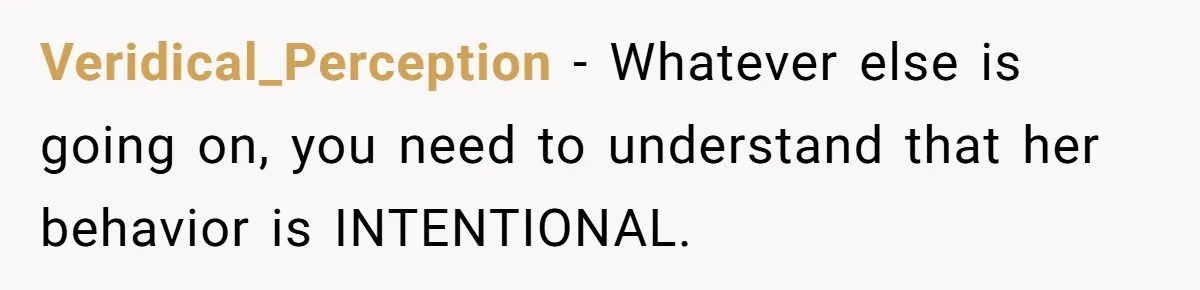 His Wife Hijacked His Entire Staycation - and Now He’s One Snap Away from Exploding Veridical_Perception − Whatever else is going on, you need to understand that her behavior is INTENTIONAL.