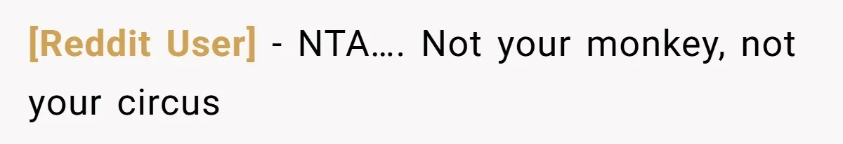 [Reddit User] − NTA…. Not your monkey, not your circus