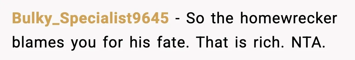 Affair Partner Says Baby Deserves That Money, Ex-Wife Says Absolutely Not Bulky_Specialist9645 - So the homewrecker blames you for his fate. That is rich. NTA.