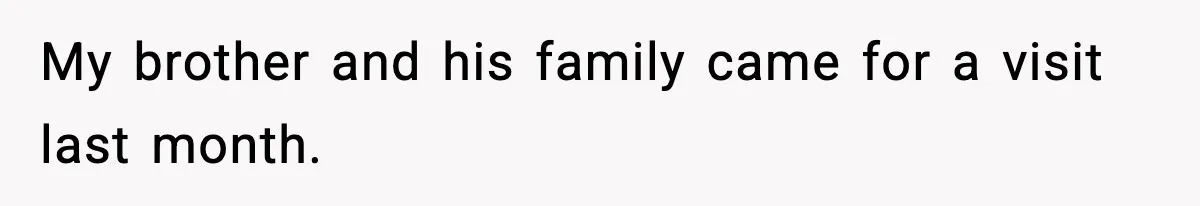 Parent Lets Kids Loot Brother’s House After He Refuses To Return Missing Legos, Is She Wrong? My brother and his family came for a visit last month.