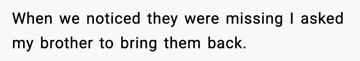 Parent Lets Kids Loot Brother’s House After He Refuses To Return Missing Legos, Is She Wrong? When we noticed they were missing I asked my brother to bring them back.