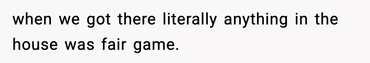 Parent Lets Kids Loot Brother’s House After He Refuses To Return Missing Legos, Is She Wrong? when we got there literally anything in the house was fair game.