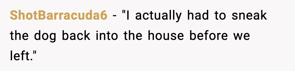 Parent Lets Kids Loot Brother’s House After He Refuses To Return Missing Legos, Is She Wrong? ShotBarracuda6 − "I actually had to sneak the dog back into the house before we left."