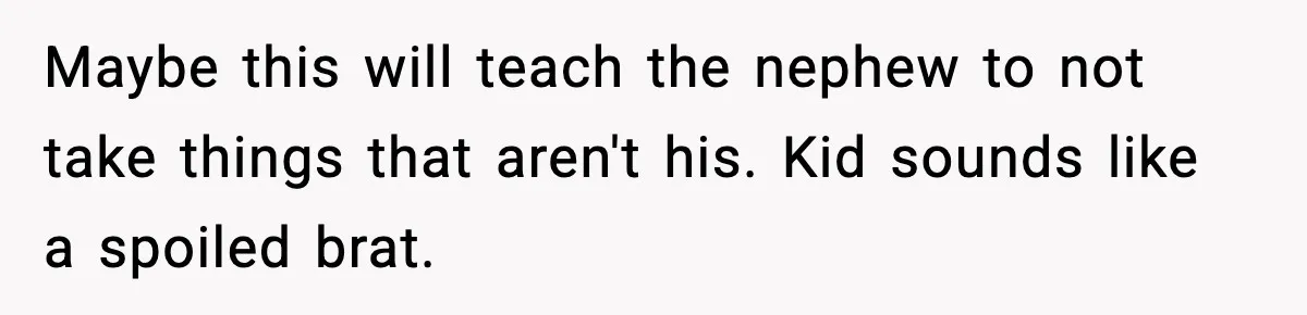 Parent Lets Kids Loot Brother’s House After He Refuses To Return Missing Legos, Is She Wrong? Maybe this will teach the nephew to not take things that aren't his. Kid sounds like a spoiled brat.