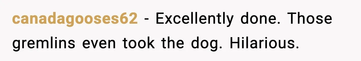 Parent Lets Kids Loot Brother’s House After He Refuses To Return Missing Legos, Is She Wrong? canadagooses62 − Excellently done. Those gremlins even took the dog. Hilarious.