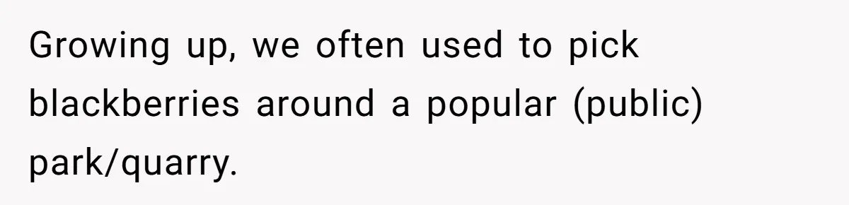 Teacher Steals Kids’ Blackberries, Cooks Pie In Class, And Then Eats It Herself—Here’s What Happened Growing up, we often used to pick blackberries around a popular (public) park/quarry.