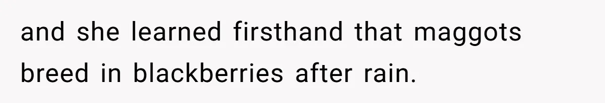 Teacher Steals Kids’ Blackberries, Cooks Pie In Class, And Then Eats It Herself—Here’s What Happened and she learned firsthand that maggots breed in blackberries after rain.