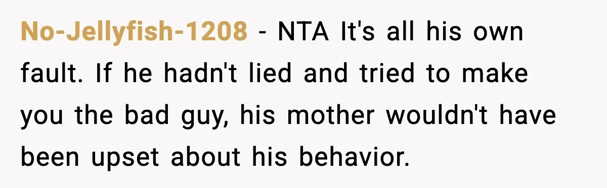 He Quit Being A Dad, Lied About It, Then Karma Arrived Wearing Pearls No-Jellyfish-1208 - NTA It's all his own fault. If he hadn't lied and tried to make you the bad guy, his mother wouldn't have been upset about his behavior.