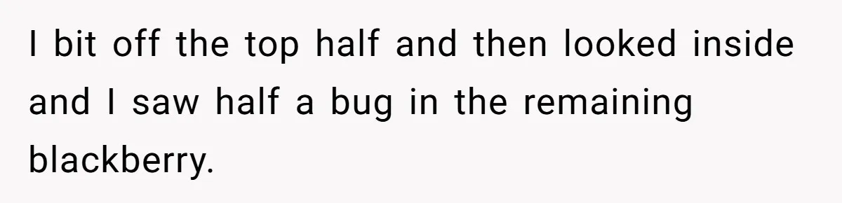 Teacher Steals Kids’ Blackberries, Cooks Pie In Class, And Then Eats It Herself—Here’s What Happened I bit off the top half and then looked inside and I saw half a bug in the remaining blackberry.