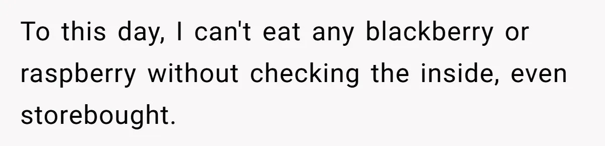 Teacher Steals Kids’ Blackberries, Cooks Pie In Class, And Then Eats It Herself—Here’s What Happened To this day, I can't eat any blackberry or raspberry without checking the inside, even storebought.