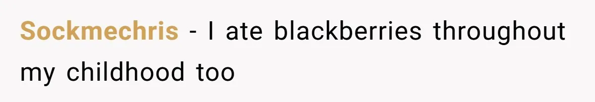 Teacher Steals Kids’ Blackberries, Cooks Pie In Class, And Then Eats It Herself—Here’s What Happened Sockmechris − I ate blackberries throughout my childhood too