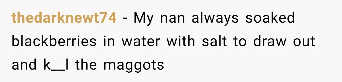 Teacher Steals Kids’ Blackberries, Cooks Pie In Class, And Then Eats It Herself—Here’s What Happened thedarknewt74 − My nan always soaked blackberries in water with salt to draw out and k__l the maggots