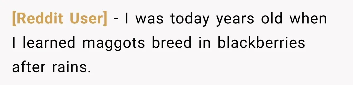 [Reddit User] − I was today years old when I learned maggots breed in blackberries after rains.