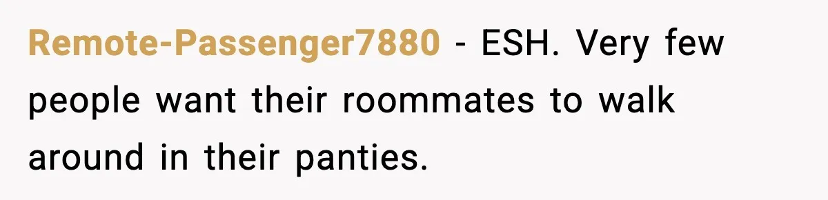 Roommate Tries To Shame Housemates For Not Wearing Clothes, Now He’s Mad They Won’t Change Remote-Passenger7880 − ESH. Very few people want their roommates to walk around in their panties.