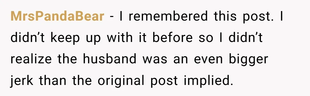 Woman Escapes Marriage After Husband Turns Her Exhaustion Into A Weapon MrsPandaBear − I remembered this post. I didn’t keep up with it before so I didn’t realize the husband was an even bigger jerk than the original post implied.