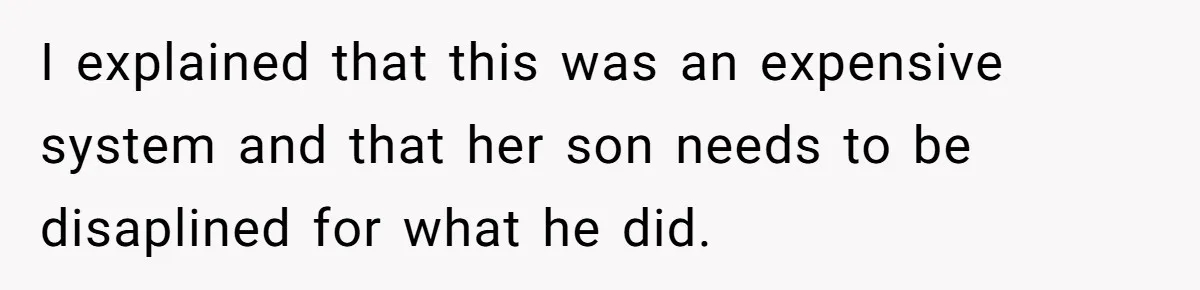 Parents Furious After Woman Replaces Her Son’s Broken Console With Nephew’s Gift I explained that this was an expensive system and that her son needs to be disaplined for what he did.