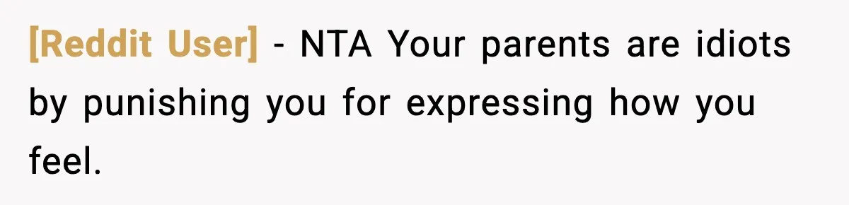 [Reddit User] − NTA Your parents are idiots by punishing you for expressing how you feel.