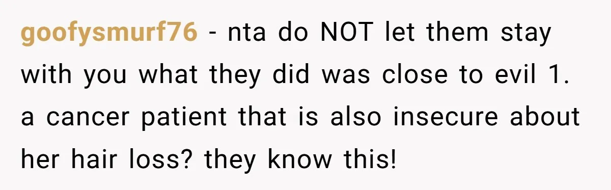 Man Evicts Sister After Her Teens Steal His Cancer-Stricken Wife’s Wig For Fun goofysmurf76 − nta do NOT let them stay with you what they did was close to evil 1. a cancer patient that is also insecure about her hair loss? they...