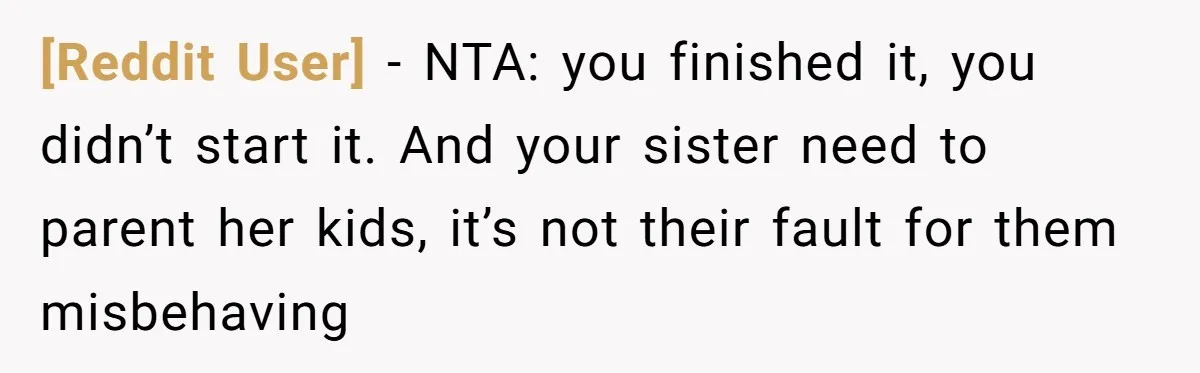[Reddit User] − NTA: you finished it, you didn’t start it. And your sister need to parent her kids, it’s not their fault for them misbehaving