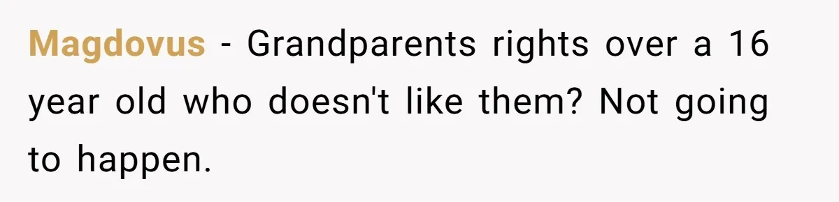 Dad Adopts Biological Son In Secret, Refuses To Tell Parents Until Inheritance Forces Truth Magdovus − Grandparents rights over a 16 year old who doesn't like them? Not going to happen.