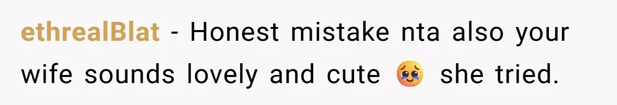 Husband Destroys His Wife’s First Meal Attempt, Now She’s Not Sure She’ll Ever Cook Again ethrealBlat − Honest mistake nta also your wife sounds lovely and cute 🥹 she tried.