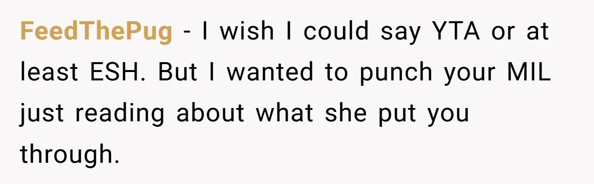 A New Mom’s Breaking Point: Woman’s Savage Response To Her MIL’s ‘Perfect Mother’ Routine FeedThePug − I wish I could say YTA or at least ESH. But I wanted to punch your MIL just reading about what she put you through.