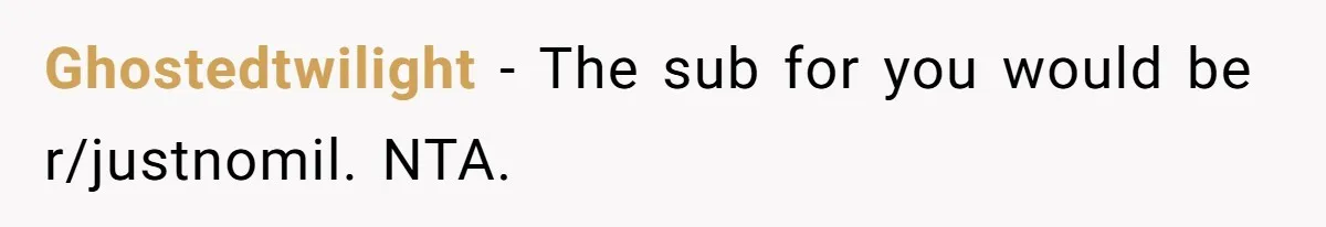 A New Mom’s Breaking Point: Woman’s Savage Response To Her MIL’s ‘Perfect Mother’ Routine Ghostedtwilight − The sub for you would be r/justnomil. NTA.