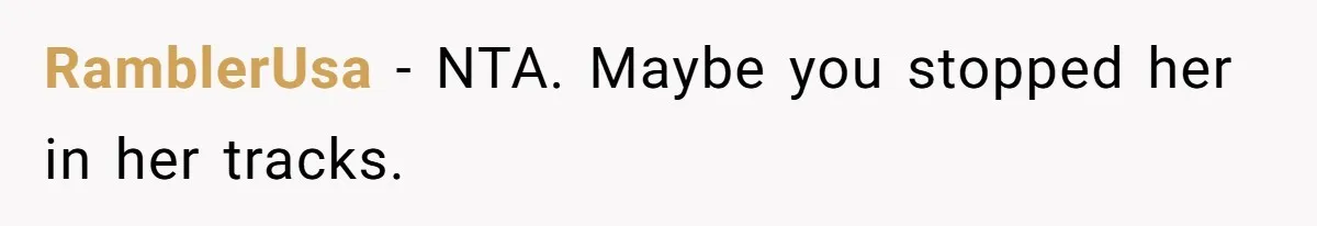 A New Mom’s Breaking Point: Woman’s Savage Response To Her MIL’s ‘Perfect Mother’ Routine RamblerUsa − NTA. Maybe you stopped her in her tracks.