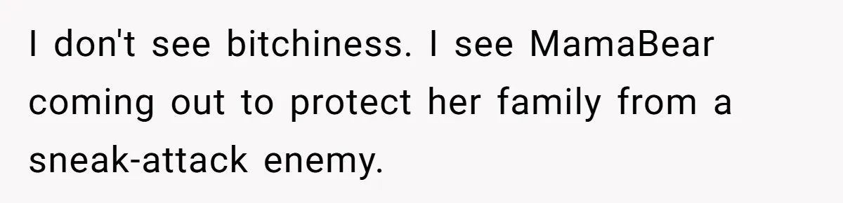 A New Mom’s Breaking Point: Woman’s Savage Response To Her MIL’s ‘Perfect Mother’ Routine I don't see bitchiness. I see MamaBear coming out to protect her family from a sneak-attack enemy.