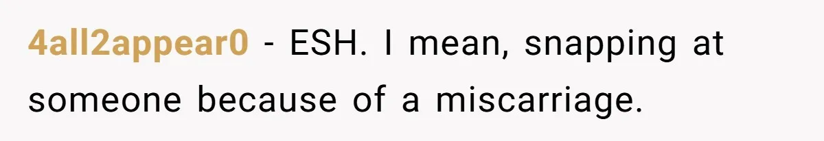 A New Mom’s Breaking Point: Woman’s Savage Response To Her MIL’s ‘Perfect Mother’ Routine 4all2appear0 − ESH. I mean, snapping at someone because of a miscarriage.